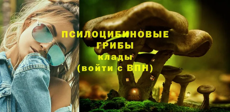 МЕГА как зайти  Сортавала  Галлюциногенные грибы MAGIC MUSHROOMS 